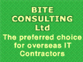 BITE Consulting