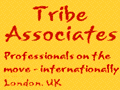 Tribe Associates